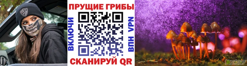 Галлюциногенные грибы GOLDEN TEACHER  где купить наркоту  Артёмовск 