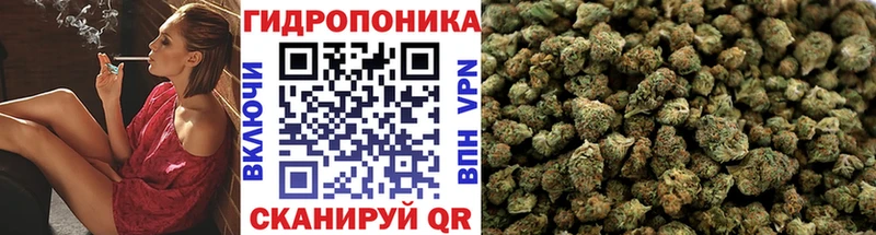 Марихуана White Widow Артёмовск